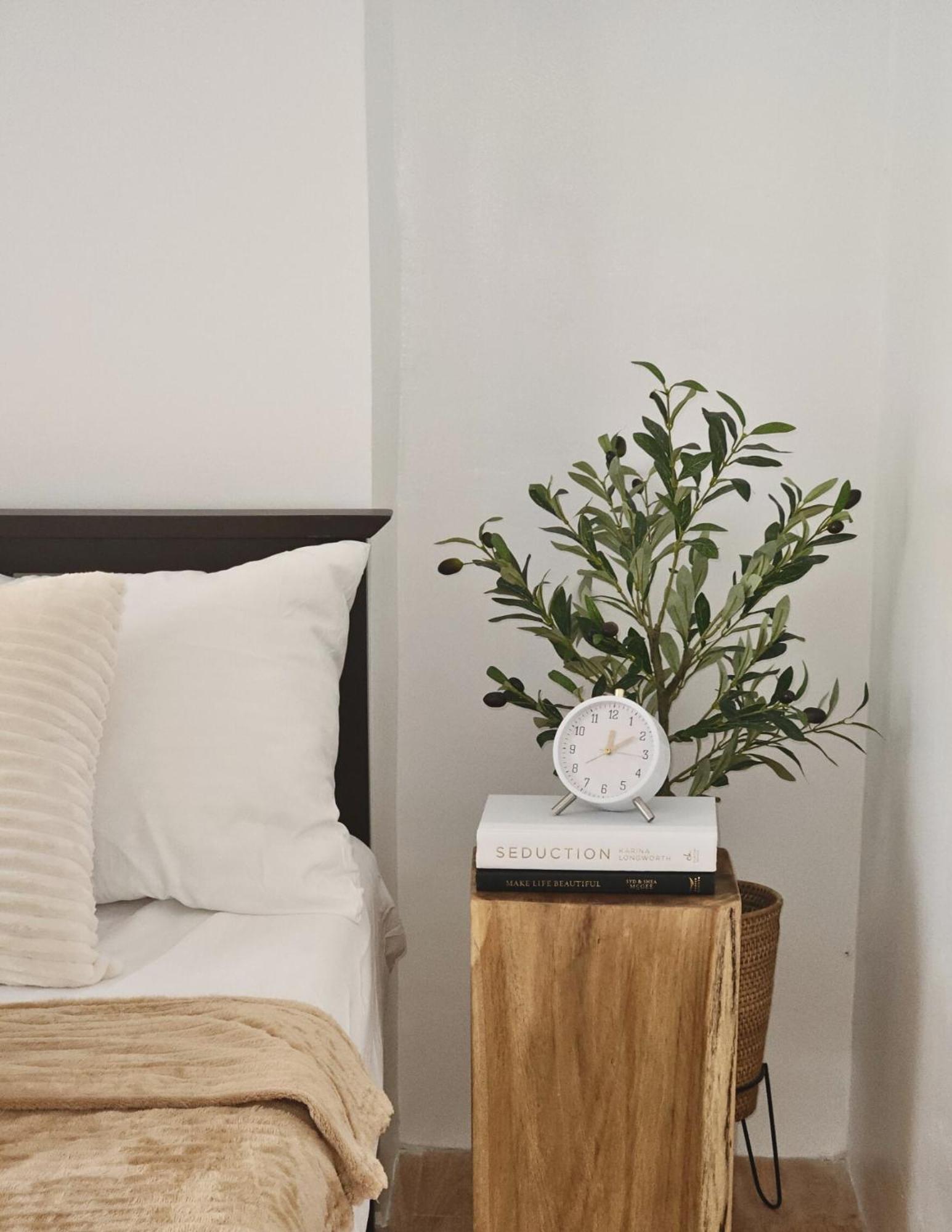 The Traveller'S Haven Airbnb Cebu Exterior photo